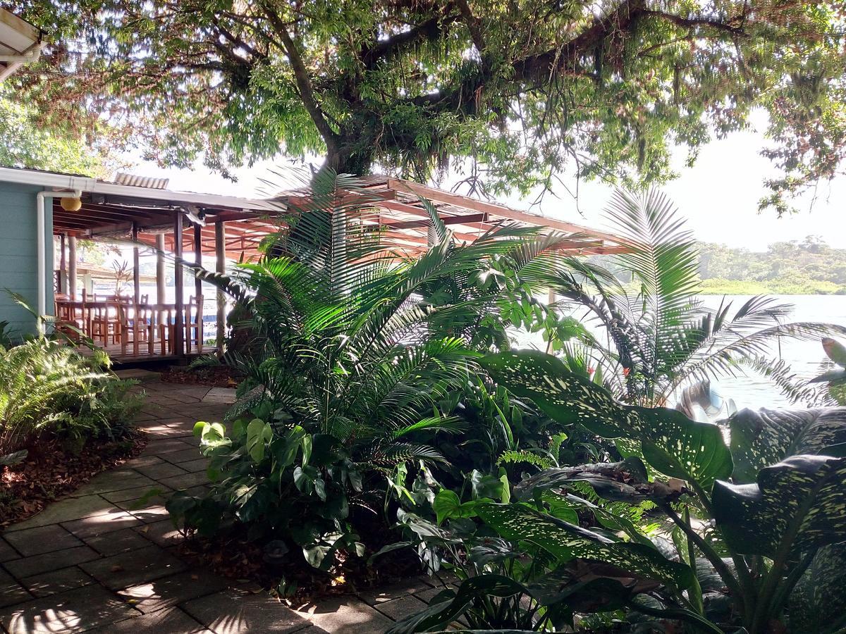 Vila Casa Marbella Tortuguero Exteriér fotografie